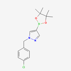 molecular formula C16H20BClN2O2 B1407681 1-[(4-氯苯基)甲基]-4-(四甲基-1,3,2-二氧杂硼环-2-基)-1H-吡唑 CAS No. 1430750-51-8