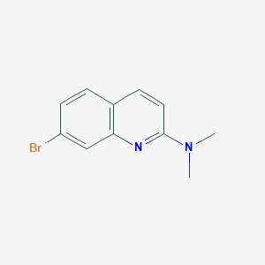 molecular formula C11H11BrN2 B14078157 7-bromo-N,N-dimethylquinolin-2-amine 