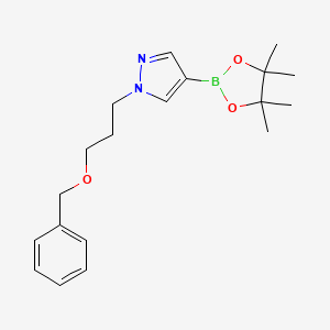 molecular formula C19H27BN2O3 B1407842 1-(3-(Benzyloxy)propyl)-4-(4,4,5,5-tetramethyl-1,3,2-dioxaborolan-2-yl)-1H-pyrazole CAS No. 1309960-92-6