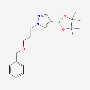 molecular formula C19H27BN2O3 B1407842 1-(3-Benzyloxypropyl)-4-(4,4,5,5-tetramethyl-[1,3,2]dioxaborolan-2-yl)-1H-pyrazole CAS No. 1309960-92-6