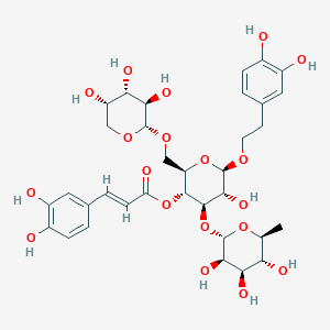 molecular formula C34H44O19 B14083752 Angoroside A CAS No. 111316-35-9