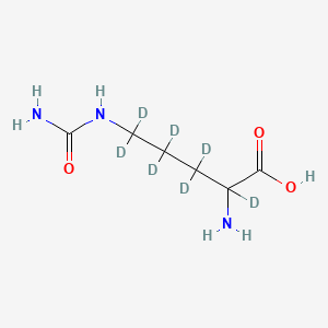 molecular formula C6H13N3O3 B14084204 L-Citrulline-2,3,3,4,4,5,5-D7 