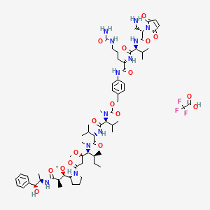 molecular formula C67H101F3N12O17 B14084222 mDPR-Val-Cit-PAB-MMAE TFA 