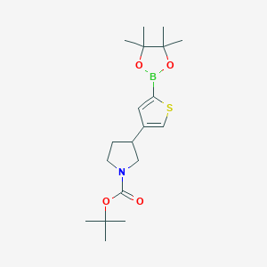 molecular formula C19H30BNO4S B14085514 tert-Butyl 3-(5-(4,4,5,5-tetramethyl-1,3,2-dioxaborolan-2-yl)thiophen-3-yl)pyrrolidine-1-carboxylate 