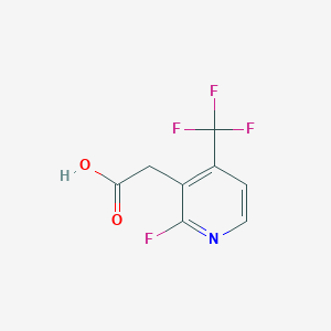 molecular formula C8H5F4NO2 B1408553 2-Fluoro-4-(trifluoromethyl)pyridine-3-acetic acid CAS No. 1227599-96-3