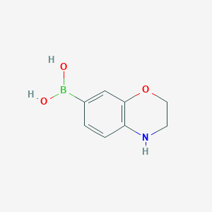 molecular formula C8H10BNO3 B1408583 (3,4-dihydro-2H-benzo[b][1,4]oxazin-7-yl)boronic acid CAS No. 1253911-87-3