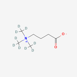 molecular formula C7H15NO2 B14085853 gamma-Butyrobetaine-d9 