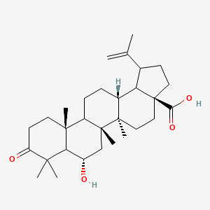 molecular formula C30H46O4 B14087257 6-Hydroxy-3-oxo-20(29)-lupen-28-oic acid 
