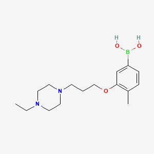 molecular formula C16H27BN2O3 B1408826 3-(3-(4-Ethylpiperazin-1-yl)propoxy)-4-methylphenylboronic acid CAS No. 1704064-34-5