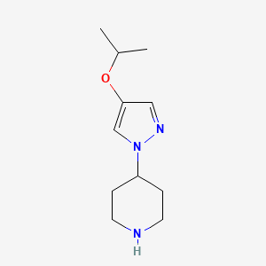 molecular formula C11H19N3O B1409022 4-(4-Isopropoxypyrazol-1-yl)-piperidine CAS No. 1857090-03-9