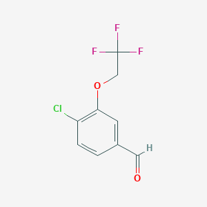 molecular formula C9H6ClF3O2 B1409070 4-Chloro-3-(2,2,2-trifluoroethoxy)benzaldehyde CAS No. 1630926-47-4