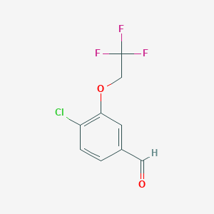 4-Chloro-3-(2,2,2-trifluoroethoxy)benzaldehyde
