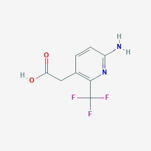 molecular formula C8H7F3N2O2 B1409136 6-Amino-2-(trifluoromethyl)pyridine-3-acetic acid CAS No. 1228898-06-3