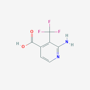 molecular formula C7H5F3N2O2 B1409194 2-Amino-3-(trifluoromethyl)isonicotinic acid CAS No. 1227582-09-3