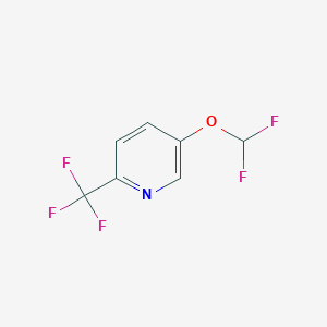 molecular formula C7H4F5NO B1409208 5-Difluoromethoxy-2-(trifluoromethyl)pyridine CAS No. 1214341-40-8