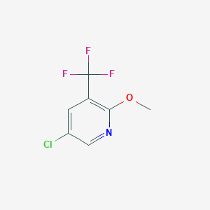 molecular formula C7H5ClF3NO B1409239 5-Chloro-2-methoxy-3-(trifluoromethyl)pyridine CAS No. 1214391-82-8