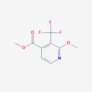 molecular formula C9H8F3NO3 B1409278 Methyl 2-methoxy-3-(trifluoromethyl)isonicotinate CAS No. 1227575-83-8