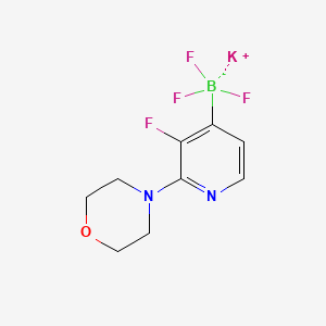 molecular formula C9H10BF4KN2O B1409282 Potassium trifluoro(3-fluoro-2-morpholinopyridin-4-yl)borate CAS No. 1704704-31-3