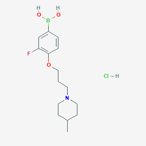 molecular formula C15H24BClFNO3 B1409286 (3-Fluoro-4-(3-(4-methylpiperidin-1-yl)propoxy)phenyl)boronic acid hydrochloride CAS No. 1704082-03-0