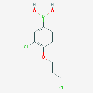 molecular formula C9H11BCl2O3 B1409303 (3-Chloro-4-(3-chloropropoxy)phenyl)boronic acid CAS No. 1704074-33-8