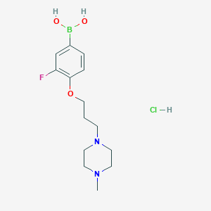 molecular formula C14H23BClFN2O3 B1409313 (3-Fluoro-4-(3-(4-methylpiperazin-1-yl)propoxy)phenyl)boronic acid hydrochloride CAS No. 1704082-06-3