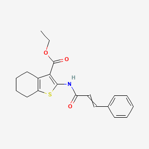 molecular formula C20H21NO3S B14093142 Ethyl 2-(3-phenylprop-2-enoylamino)-4,5,6,7-tetrahydro-1-benzothiophene-3-carboxylate 