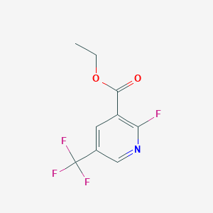molecular formula C9H7F4NO2 B1409318 Ethyl 2-fluoro-5-(trifluoromethyl)nicotinate CAS No. 1227576-19-3