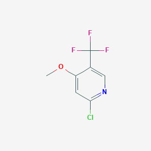 molecular formula C7H5ClF3NO B1409334 2-Chloro-4-methoxy-5-(trifluoromethyl)pyridine CAS No. 1227499-99-1