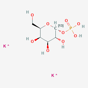 molecular formula C6H13K2O9P B14093841 alpha-D-[1-13C]GALACTOPYRANOSYL 1-PHOSPHATE DIPOTASSIUM SALT 