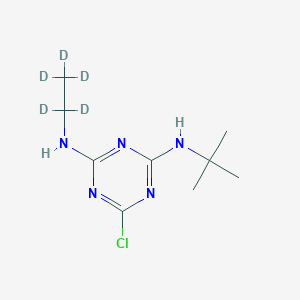 molecular formula C9H16ClN5 B1409489 Terbuthylazine-d5 CAS No. 222986-60-9