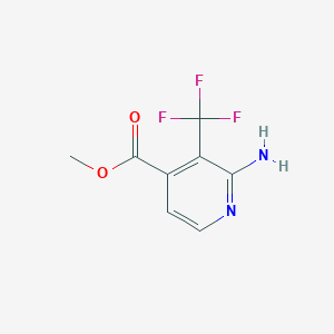 molecular formula C8H7F3N2O2 B1409577 Methyl 2-amino-3-(trifluoromethyl)isonicotinate CAS No. 1227561-96-7