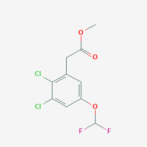 Methyl 2,3-dichloro-5-(difluoromethoxy)phenylacetate