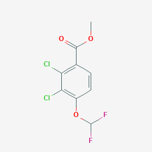 molecular formula C9H6Cl2F2O3 B1409984 Methyl 2,3-dichloro-4-(difluoromethoxy)benzoate CAS No. 1804516-29-7