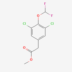 molecular formula C10H8Cl2F2O3 B1410051 Methyl 3,5-dichloro-4-(difluoromethoxy)-phenylacetate CAS No. 1806352-77-1