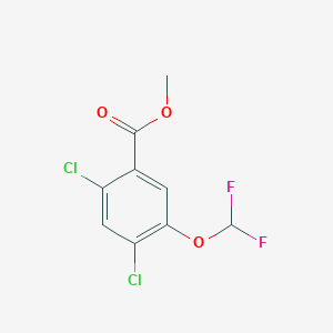 molecular formula C9H6Cl2F2O3 B1410071 Methyl 2,4-dichloro-5-(difluoromethoxy)benzoate CAS No. 1806349-28-9