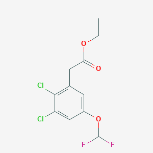 molecular formula C11H10Cl2F2O3 B1410106 Ethyl 2,3-dichloro-5-(difluoromethoxy)phenylacetate CAS No. 1803791-44-7