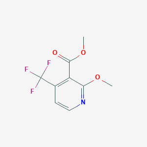 molecular formula C9H8F3NO3 B1410226 Methyl 2-methoxy-4-(trifluoromethyl)nicotinate CAS No. 1227581-63-6
