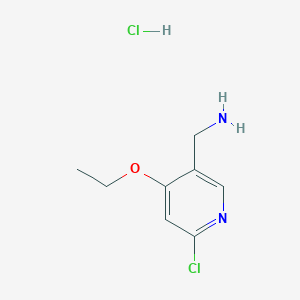molecular formula C8H12Cl2N2O B1410315 (6-Chloro-4-ethoxypyridin-3-yl)methanamine hydrochloride CAS No. 1432754-50-1