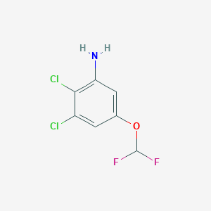 molecular formula C7H5Cl2F2NO B1410425 2,3-Dichloro-5-(difluoromethoxy)aniline CAS No. 1806321-16-3