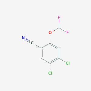 molecular formula C8H3Cl2F2NO B1410427 4,5-Dichloro-2-(difluoromethoxy)benzonitrile CAS No. 1803713-24-7