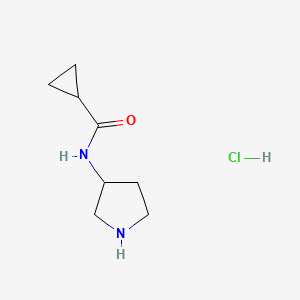 molecular formula C8H15ClN2O B1410486 N-(pyrrolidin-3-yl)cyclopropanecarboxamide hydrochloride CAS No. 1905483-77-3
