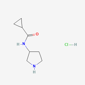 N-(3-Pyrrolidinyl)cyclopropanecarboxamide hydrochloride