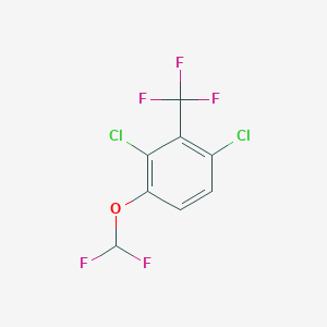 molecular formula C8H3Cl2F5O B1410521 2,6-Dichloro-3-(difluoromethoxy)benzotrifluoride CAS No. 1803788-96-6