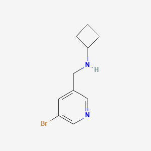 B1410537 N-[(5-bromopyridin-3-yl)methyl]cyclobutanamine CAS No. 1564790-07-3