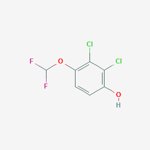molecular formula C7H4Cl2F2O2 B1410597 2,3-Dichloro-4-(difluoromethoxy)phenol CAS No. 1803832-76-9