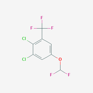 molecular formula C8H3Cl2F5O B1410604 2,3-Dichloro-5-(difluoromethoxy)benzotrifluoride CAS No. 1804882-88-9