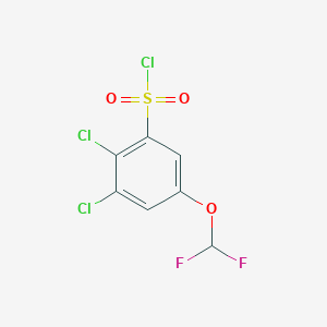2,3-Dichloro-5-(difluoromethoxy)benzenesulfonyl chloride