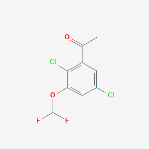 molecular formula C9H6Cl2F2O2 B1410717 2',5'-Dichloro-3'-(difluoromethoxy)acetophenone CAS No. 1807183-86-3