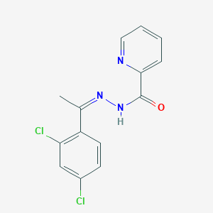molecular formula C14H11Cl2N3O B14107201 N'-[(1Z)-1-(2,4-dichlorophenyl)ethylidene]pyridine-2-carbohydrazide 