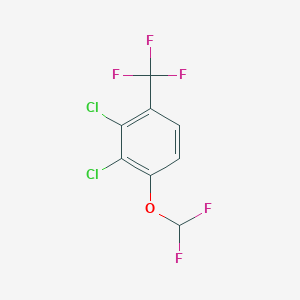 molecular formula C8H3Cl2F5O B1410857 2,3-Dichloro-4-(difluoromethoxy)benzotrifluoride CAS No. 1807184-41-3